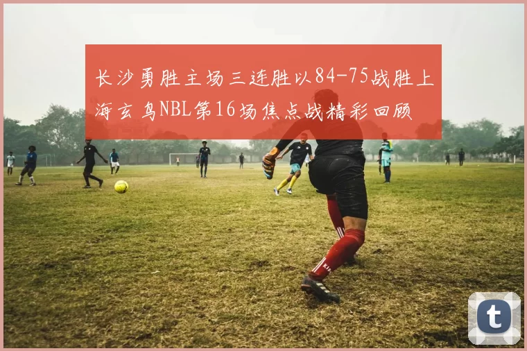 长沙勇胜主场三连胜以84-75战胜上海玄鸟NBL第16场焦点战精彩回顾