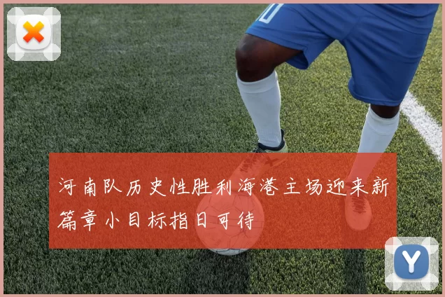 河南队历史性胜利海港主场迎来新篇章小目标指日可待